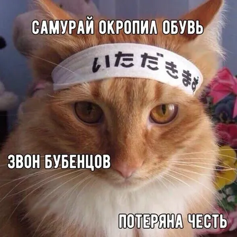 Самурай потерял честь