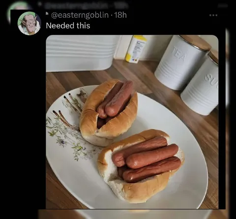 Needed This Hot Dog