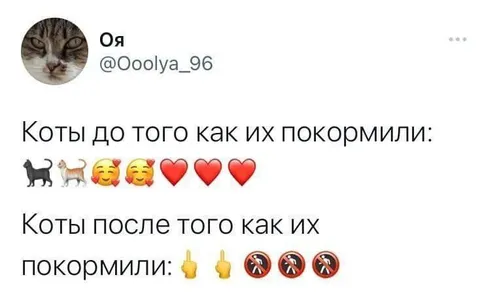Коты до и после кормления