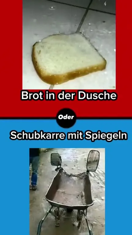 Miniondecke oder Gurke