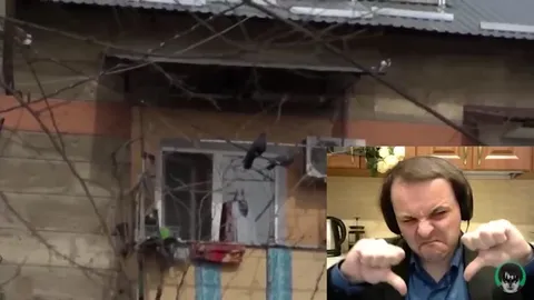 Городская прогулка и реакция