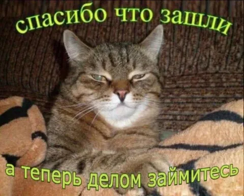 Спасибо, что зашли