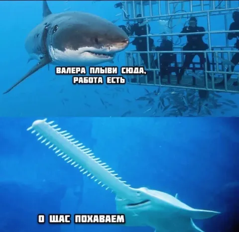Валера плыви сюда