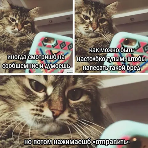Сначала думаешь, потом отправляешь
