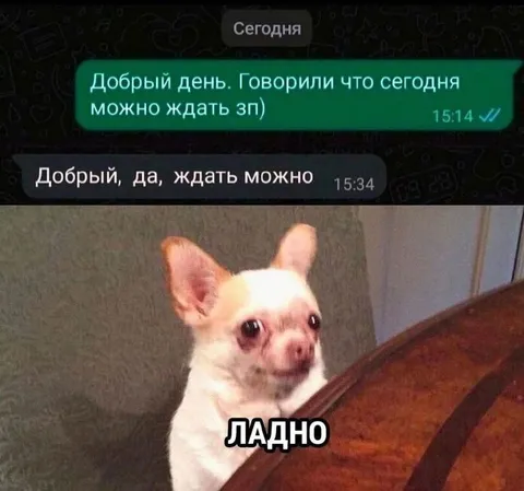 Ладно, можно ждать зарплату