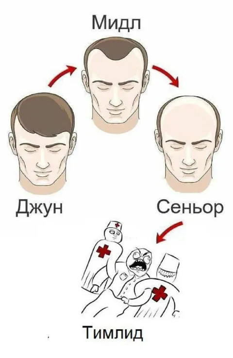 Путь от джуна до тимлида