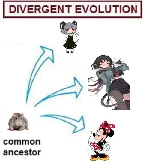 Divergent Evolution of Mice