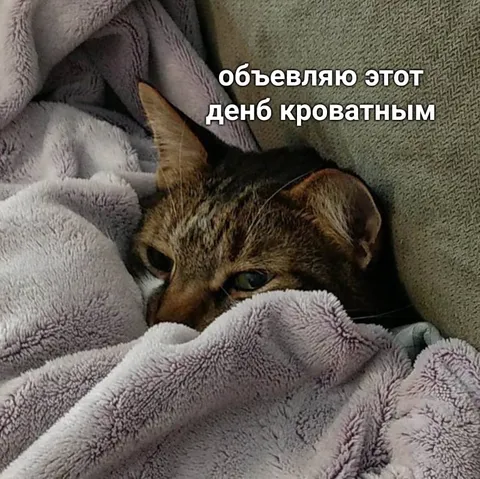 Объявляю этот день кроватным