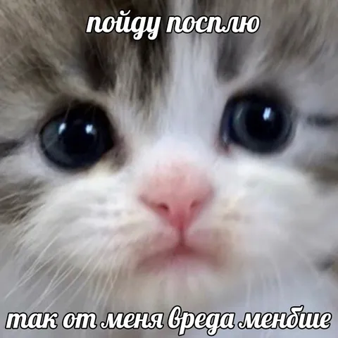 Котик хочет спать