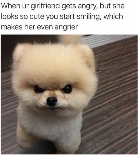 Angry Cute Girlfriend Dog
