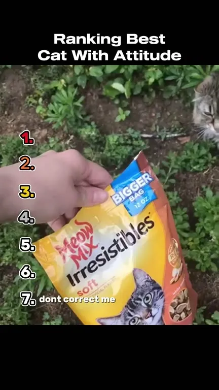 Ranking Cats With Attitude