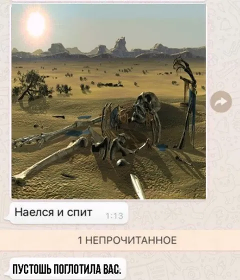 Пустошь поглотила вас