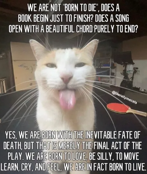 Cat Born to Live