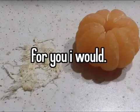 For You I Would