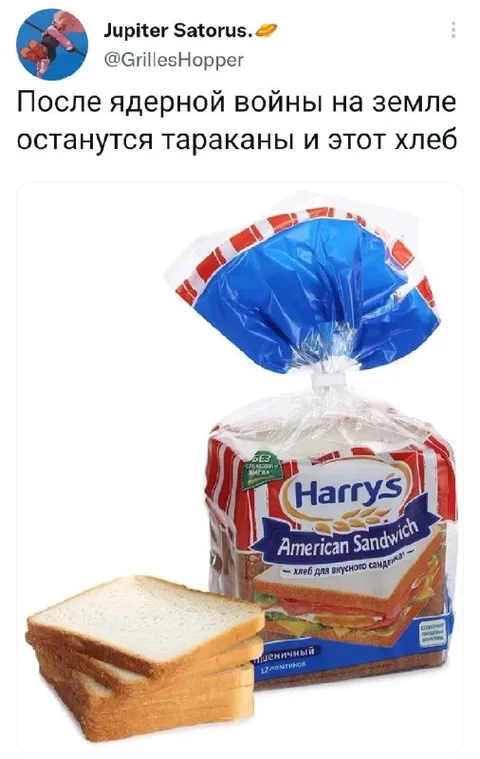 Тараканы и этот хлеб
