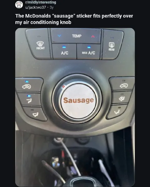 Sausage Air Conditioning Knob