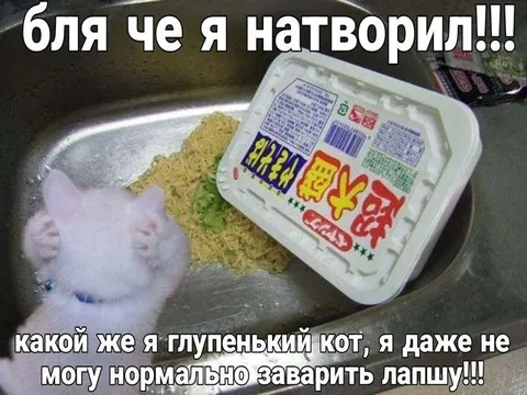 Глупенький кот не заварил лапшу