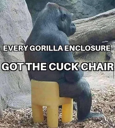 Gorilla and the Cuck Chair