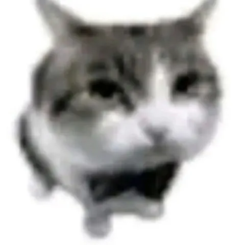Размытый удивлённый кот