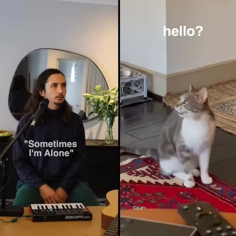 Sometimes I'm Alone Cat Jam