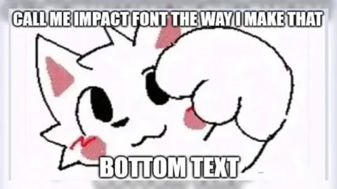 Cute Cat Bottom Text Meme