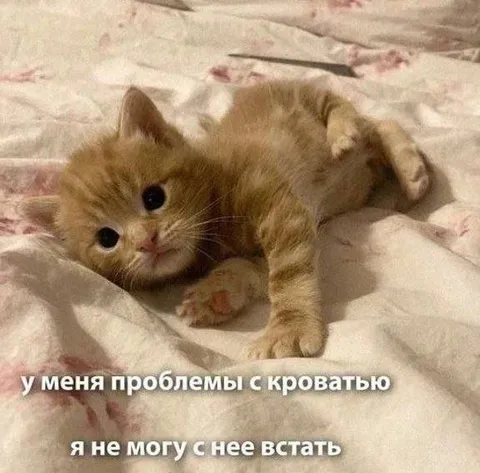 Проблемы с кроватью