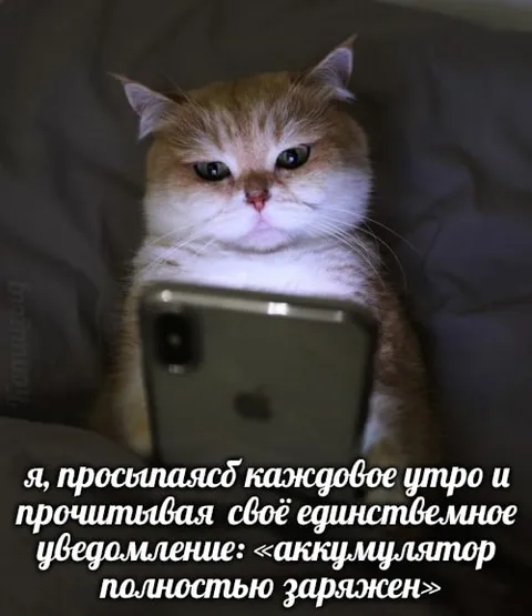Уведомление об аккумуляторе