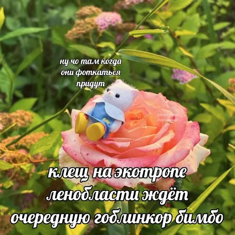 Клещ ждёт гоблинкор бимбо