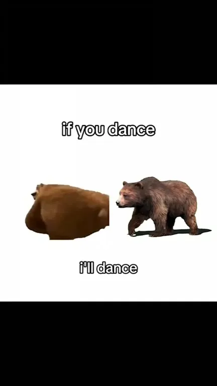 Bears Dance Anyway