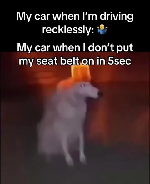 Car Demands a Seat Belt