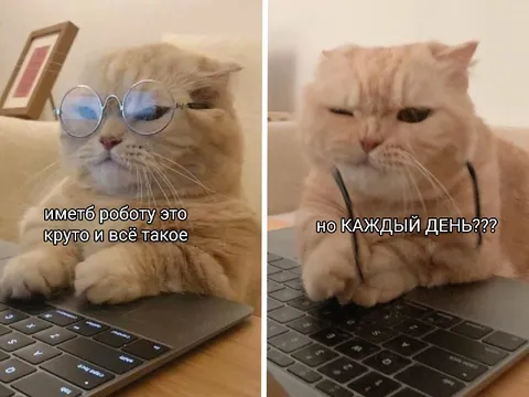 Работа каждый день
