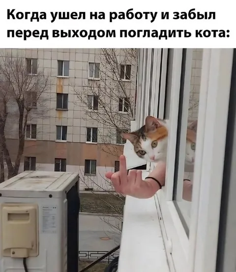 Забыл погладить кота