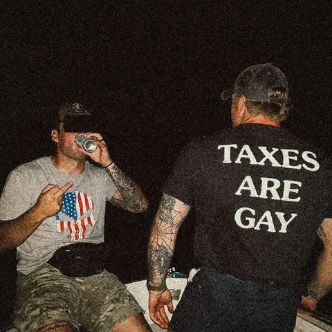 Taxes Are Gay Shirt