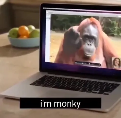 Girl Insults an Orangutan on Video Call