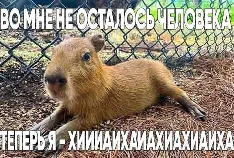Во мне не осталось человека