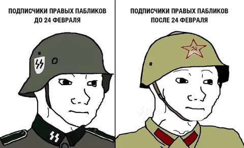 Подписчики правых пабликов до и после