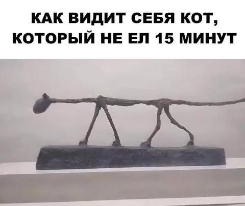 Кот не ел 15 минут