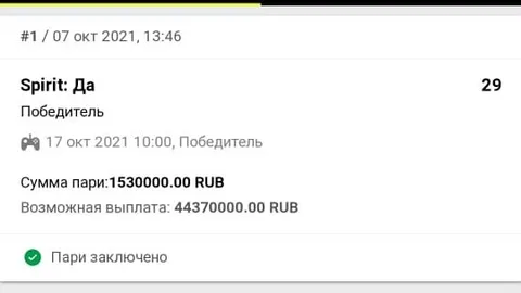 Я выиграл ставку