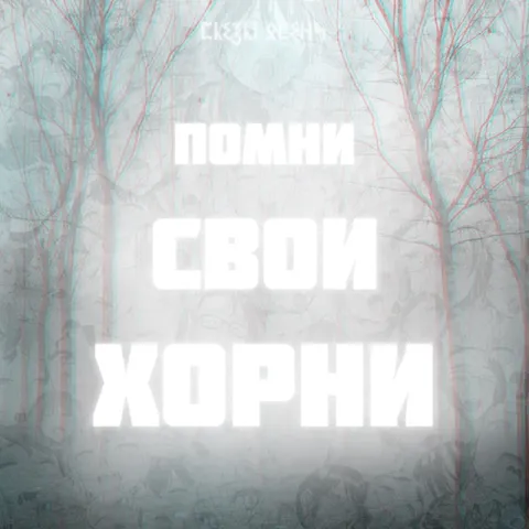 Помни свои хорни