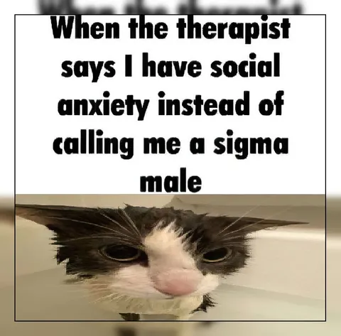 Therapist Calls Me a Sigma Male
