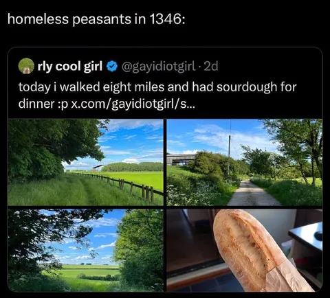 Homeless Peasants in 1346