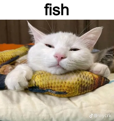 White Cat Hugging a Fish