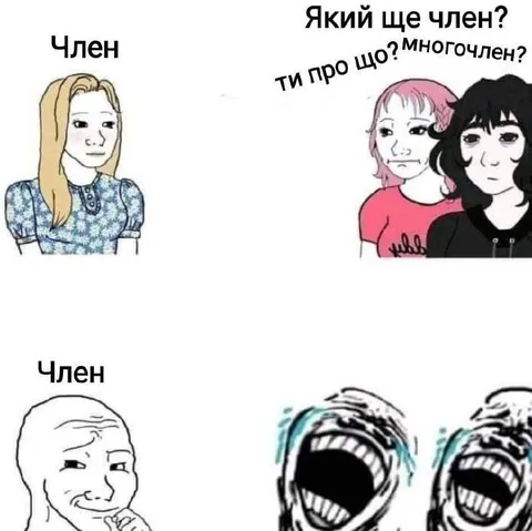 Який ще член? Многочлен?