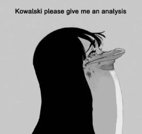 Kowalski Please Give Me an Analysis