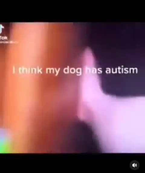 Dog Gets Stuck Behind a Board