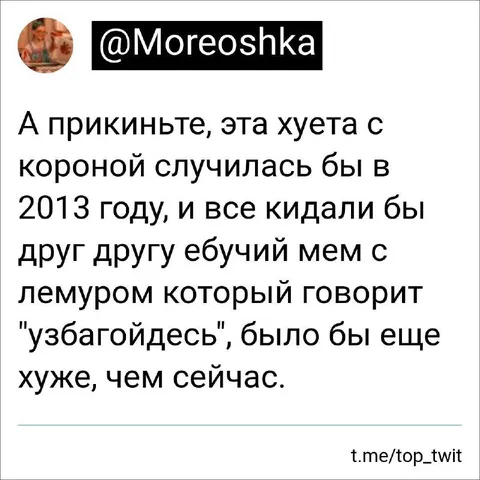 Мем с лемуром «Успокойтесь»