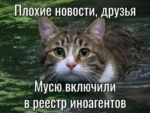 Мусю включили в реестр иноагентов