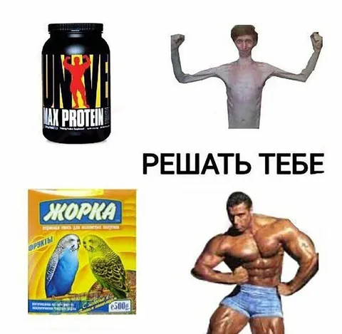 Решать тебе: протеин или корм