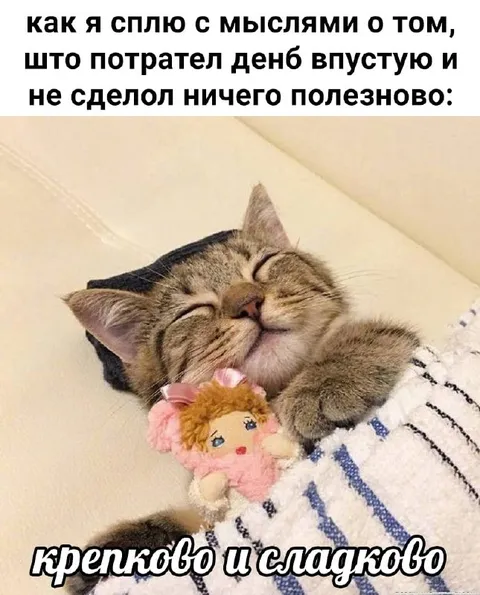 Котик желает сладких снов