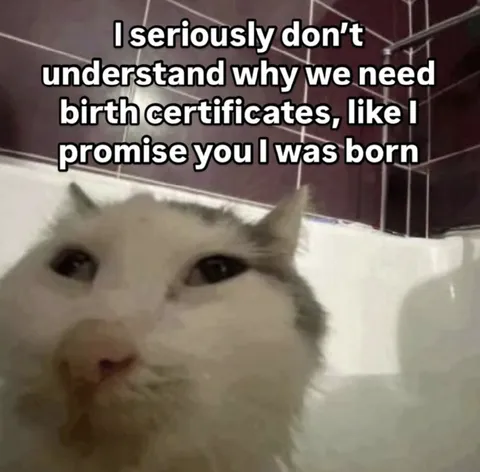 I Promise I Was Born